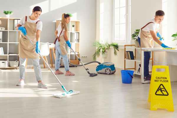 Full Apartment/Flat Home Cleaning